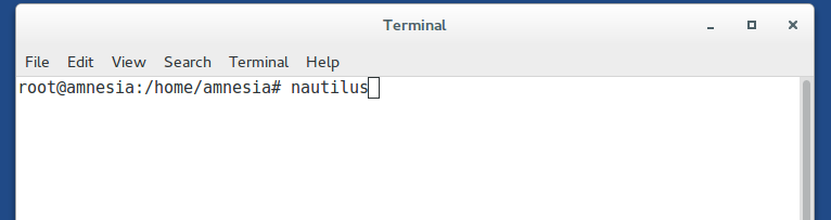 Root Terminal