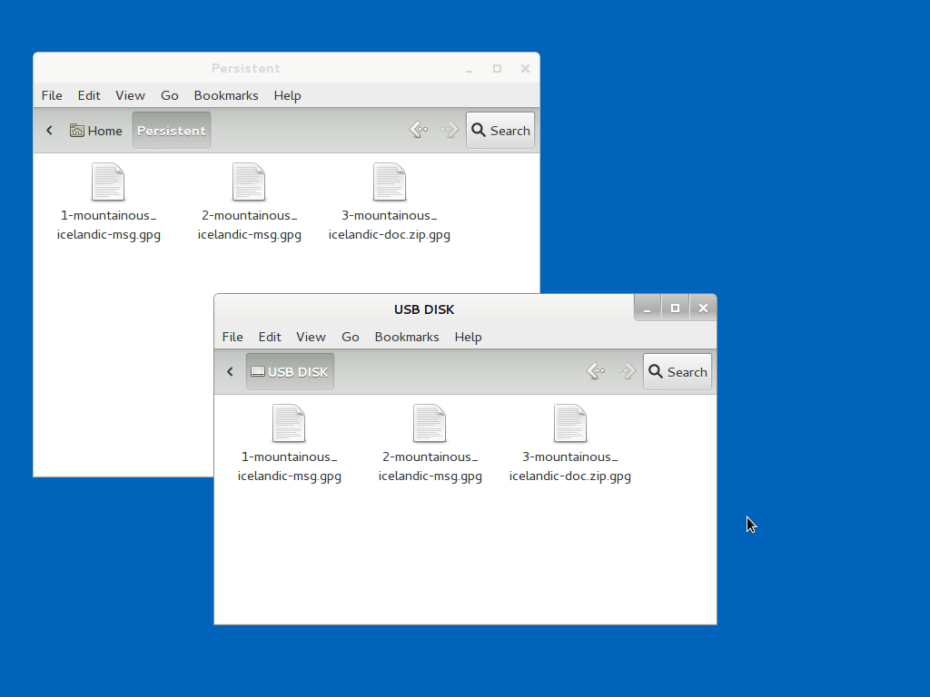 Copy files to persistent